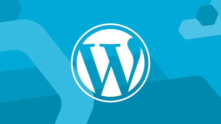 WordPress Artıları ve Eksileri: İşletme Web Siteniz İçin Doğru Seçim mi?