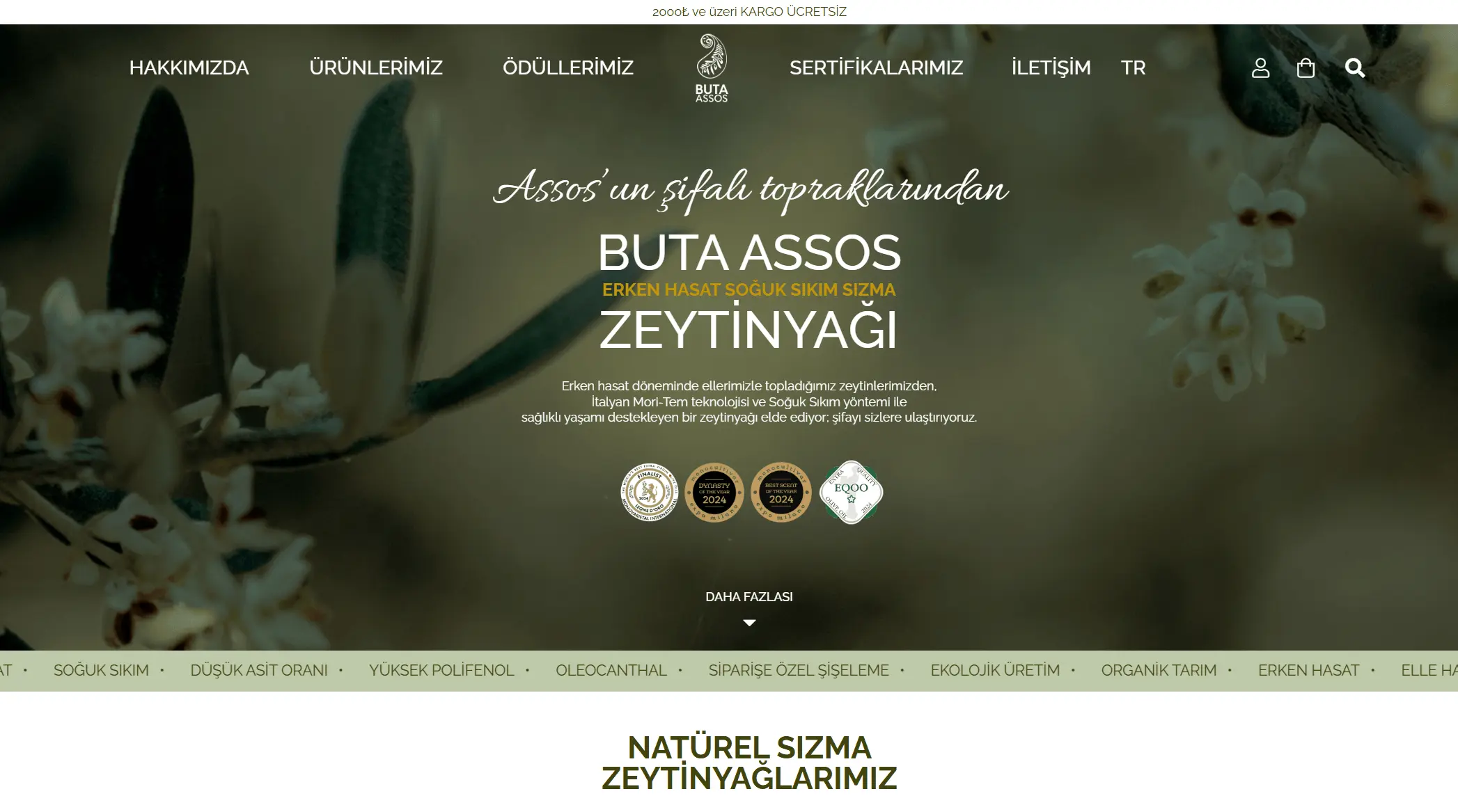 Buta Assos web sitesi ekran görüntüsü